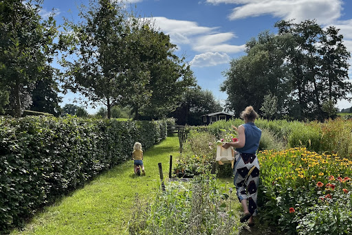 Bloemenpluktuin en Mini-kwekerij Volvelds