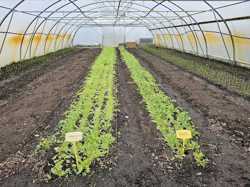 Tuinpark Laakzijde