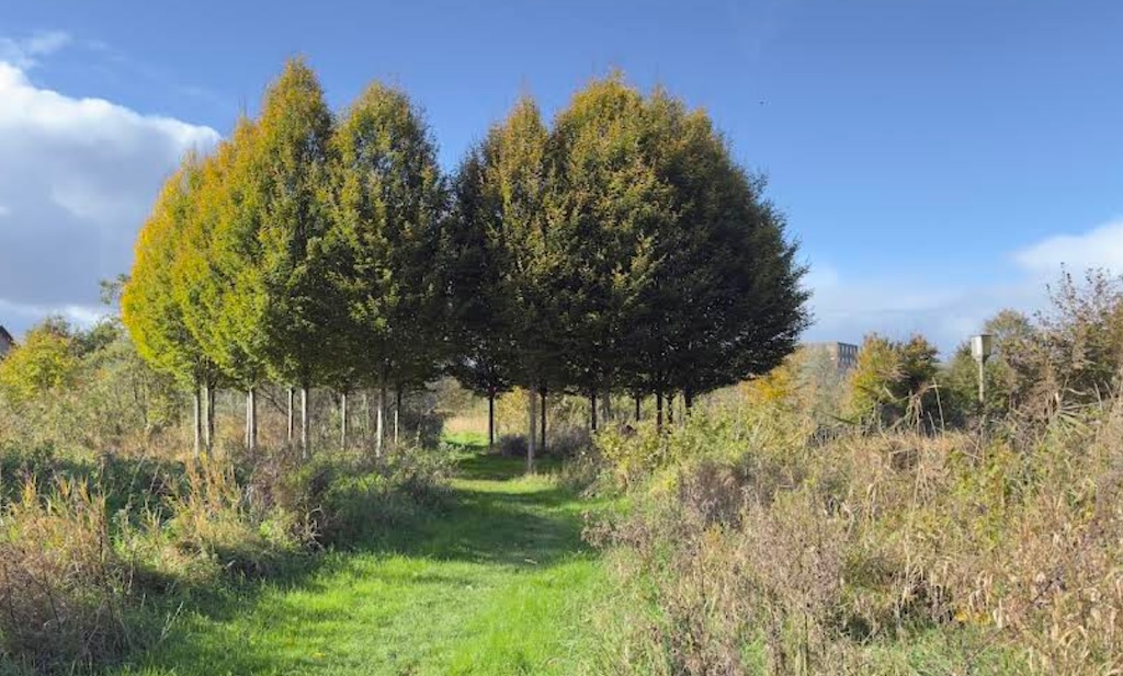 Voedselbos Sieradenbuurt