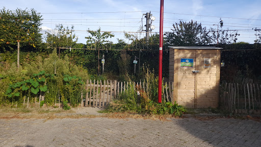 Pluktuin Erebloem
