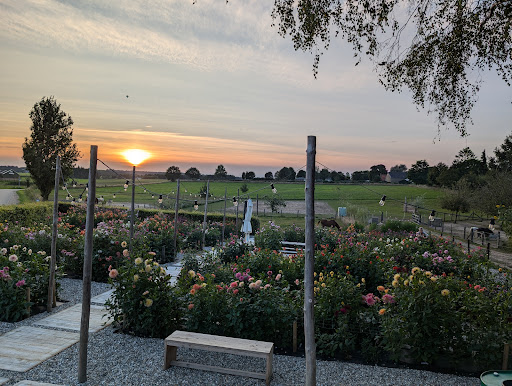 Dahlia pluktuin op de Grenshof