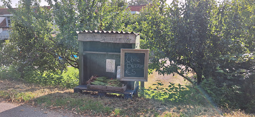 Pluktuin Bie wen Koese en de Leeuw Agroflower vof