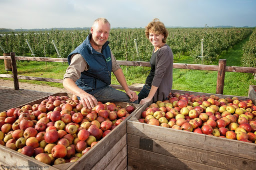 Fruitbedrijf Horstink