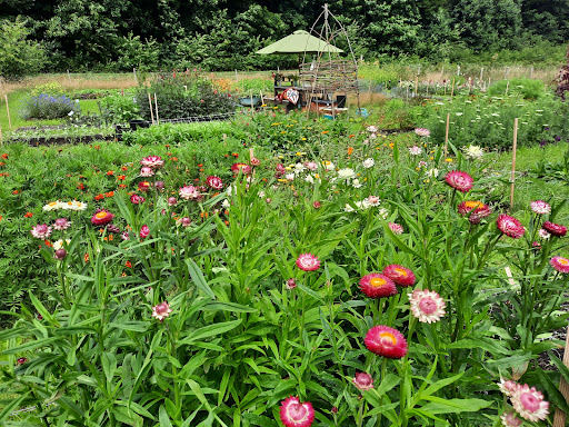 Pluktuin ‘Uit de tuin van de buren’
