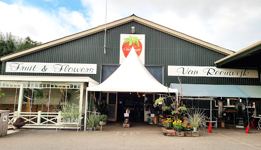 Van Reeuwijk Fruit & Flowers