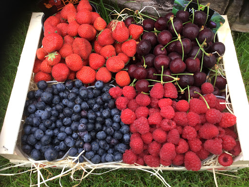 Vink Fruitboerderij