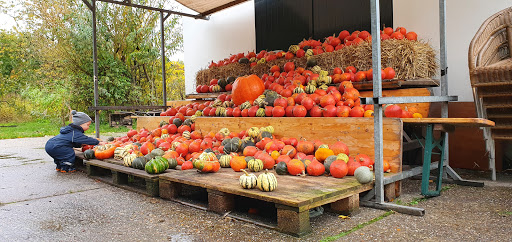 CSA Zelfoogsttuin Kraaybeekerhof