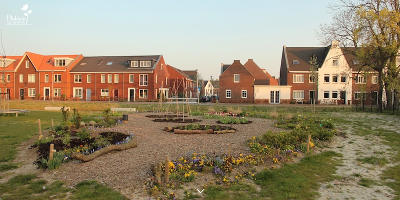 Pluktuin aan de Brink