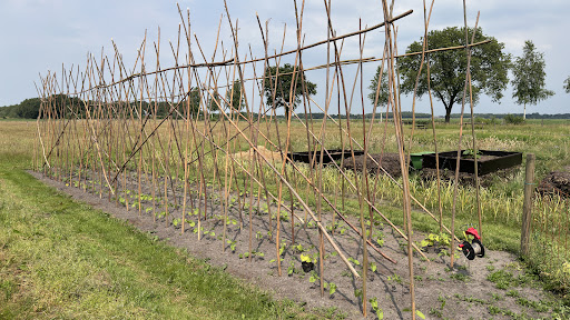 Ecologische Tuinderij De Tilgrupshof