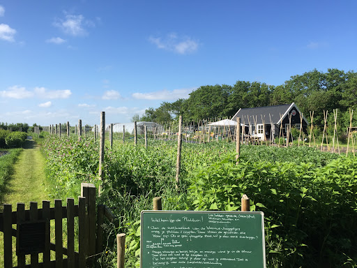 De Tuin naast de Branding
