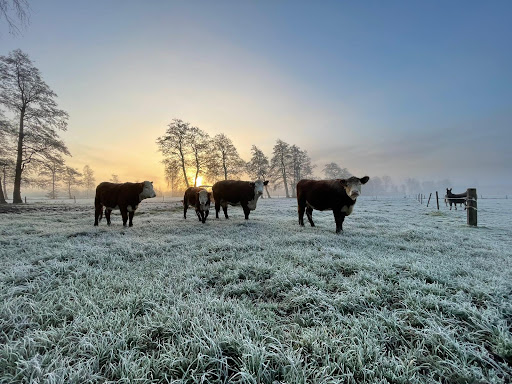 Wenum Hoeve