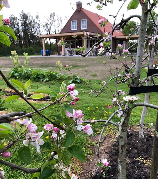 zorgpluktuin het voortje