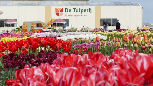 De Tulperij