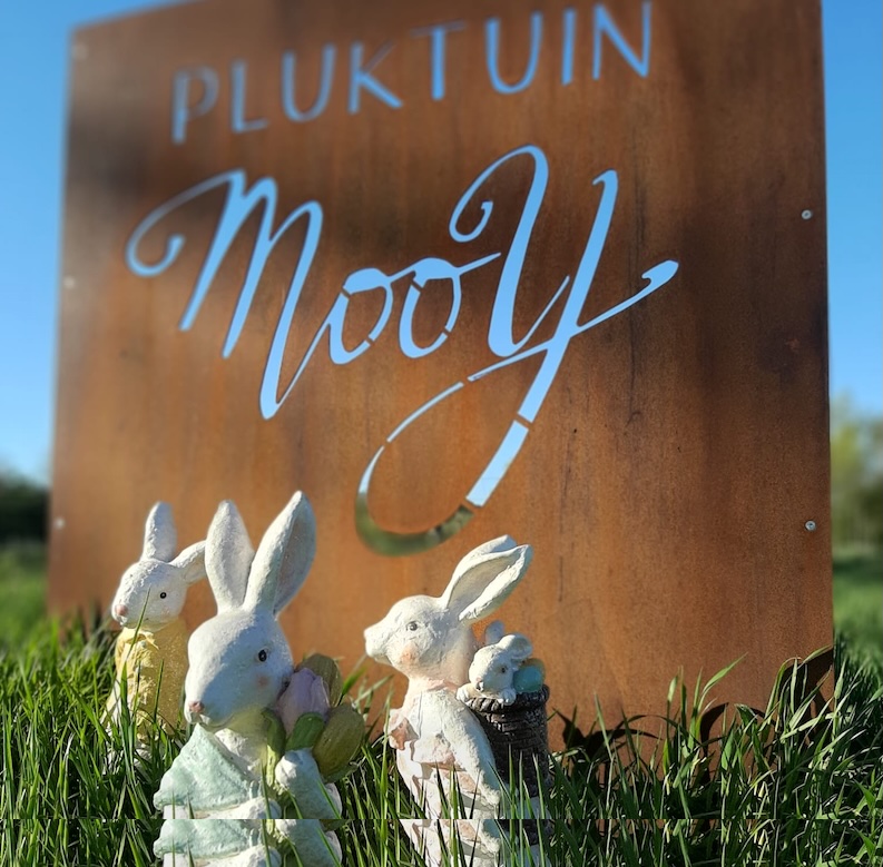 Pluktuin Mooy