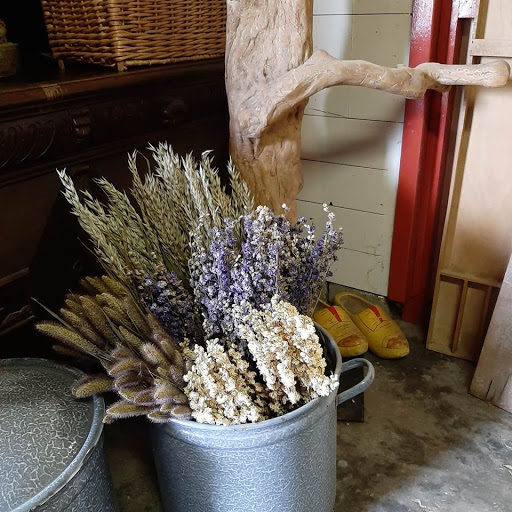 De Langendam Droogbloemen