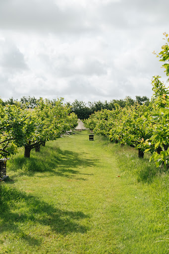 de Waelde Tuin | Eco Farm Camping de Waeldernis| Boomgaard | Winkel