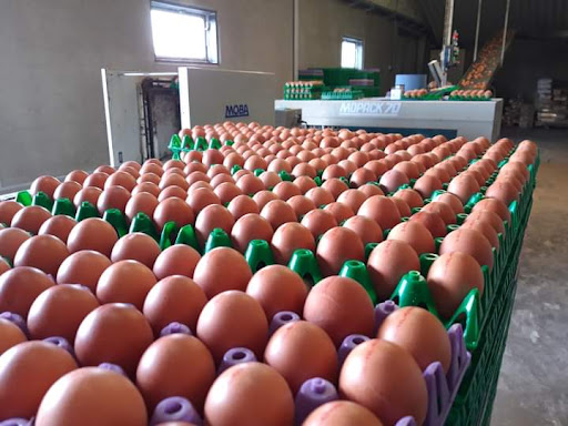 Eieren van Pake's Boerderij