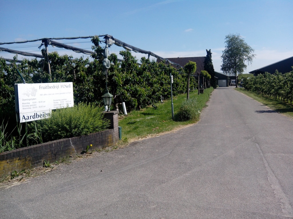 Fruitbedrijf Nell Wijk bij Duurstede