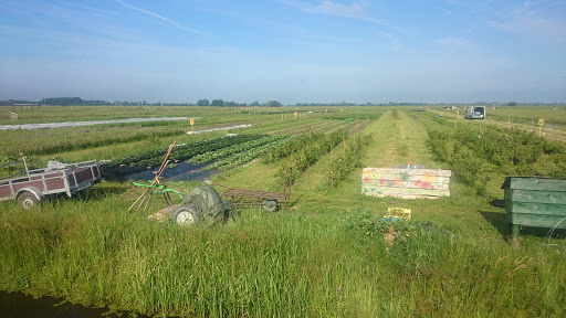 Tuinderij De Groenteboer Biologische zelfoogsttuin