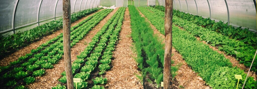 Stichting Moestuin De Haar