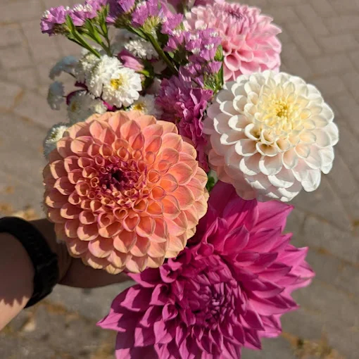 Rianne's Pluktuin