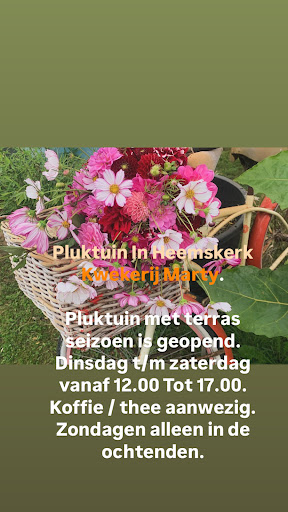 Kwekerij Marty