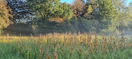 Landgoed Buitenleeft