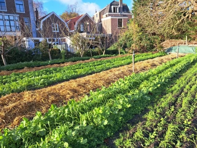 Stadstuinderij Het Zoete Land