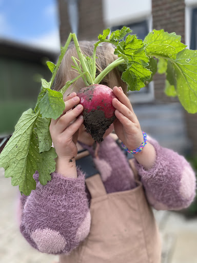 Groene Pluk | Zelfoogsttuin