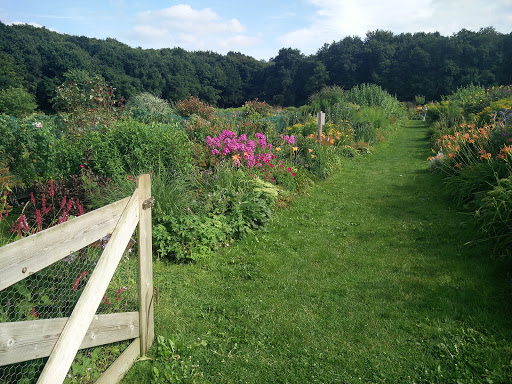 Pluktuin de Bosrand