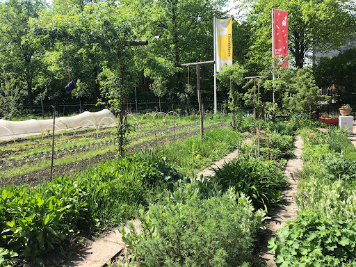 Stadstuin Food for Good