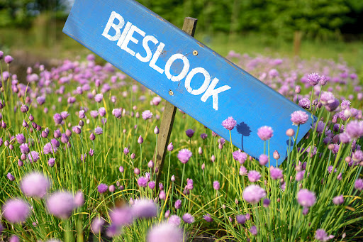 Pluktuin Uden