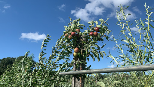 Fruittuin van West
