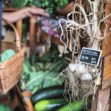 Kansrijk Biologische Zelfoogsttuin