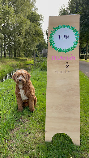 TUIN pluktuin & pauzeplaats