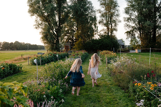Hanna's Pluktuin