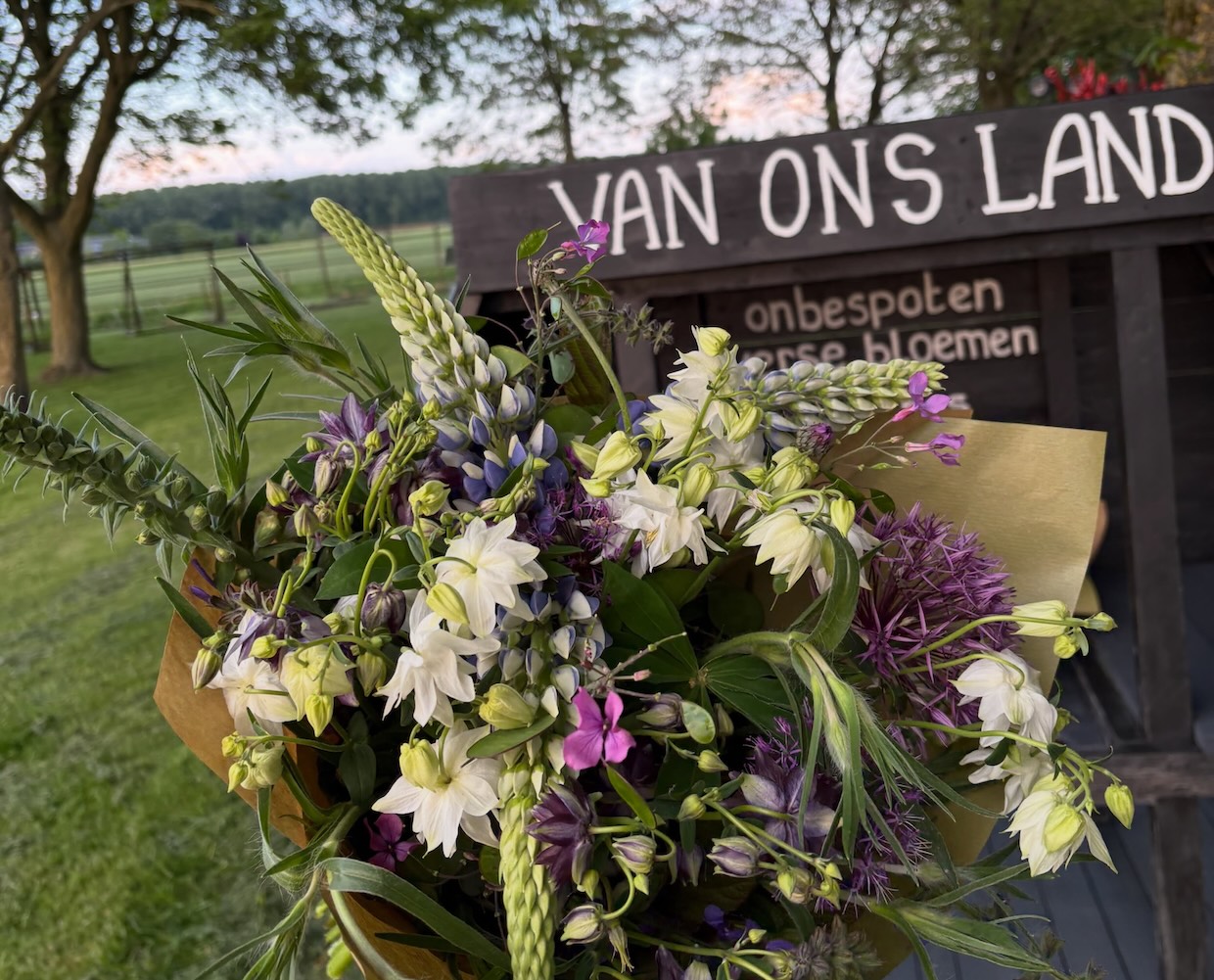 Van Ons Land