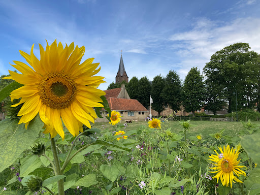 Pluktuin PlukWad