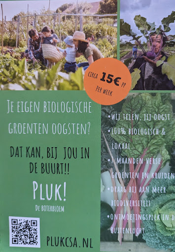 Pluk! Boterbloem CSA 🥬🥕