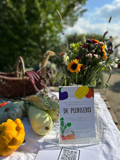 Zelfoogsttuin de Plukkerij