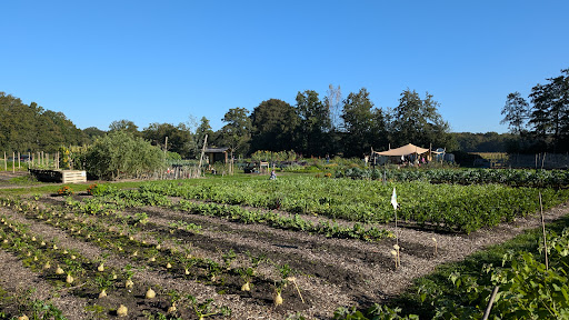 Pluck van het veld