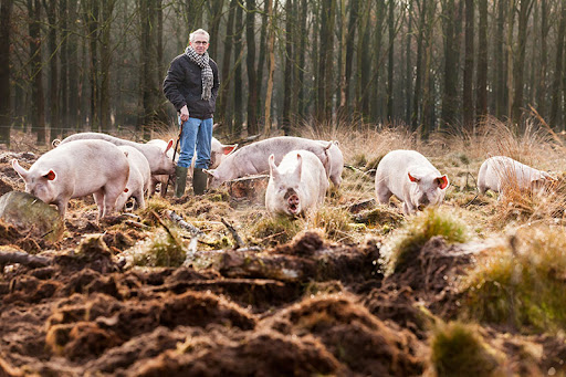 Overesch ecologische landbouw