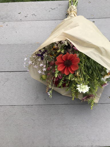 Plukweide - Bloemen Pluktuin