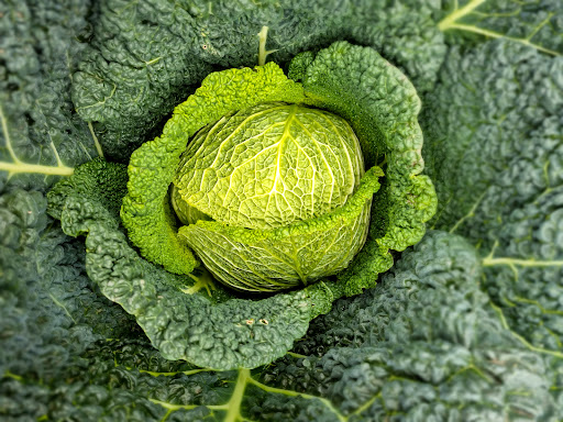 De Groenerie