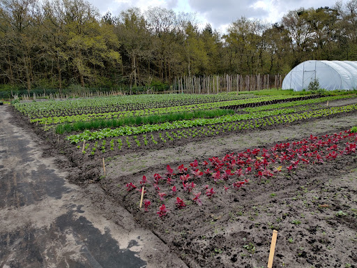 CSA LandinZicht
