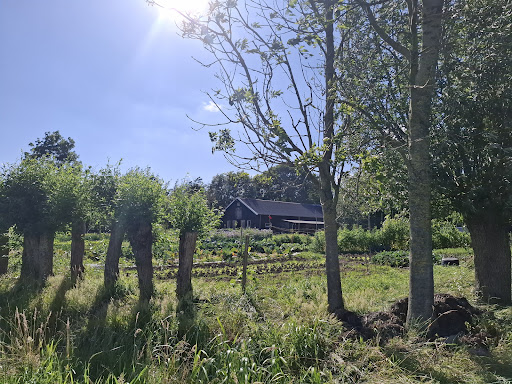 Hazelland 10