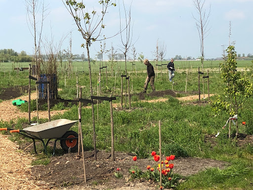 Pluktuin Schipluiden