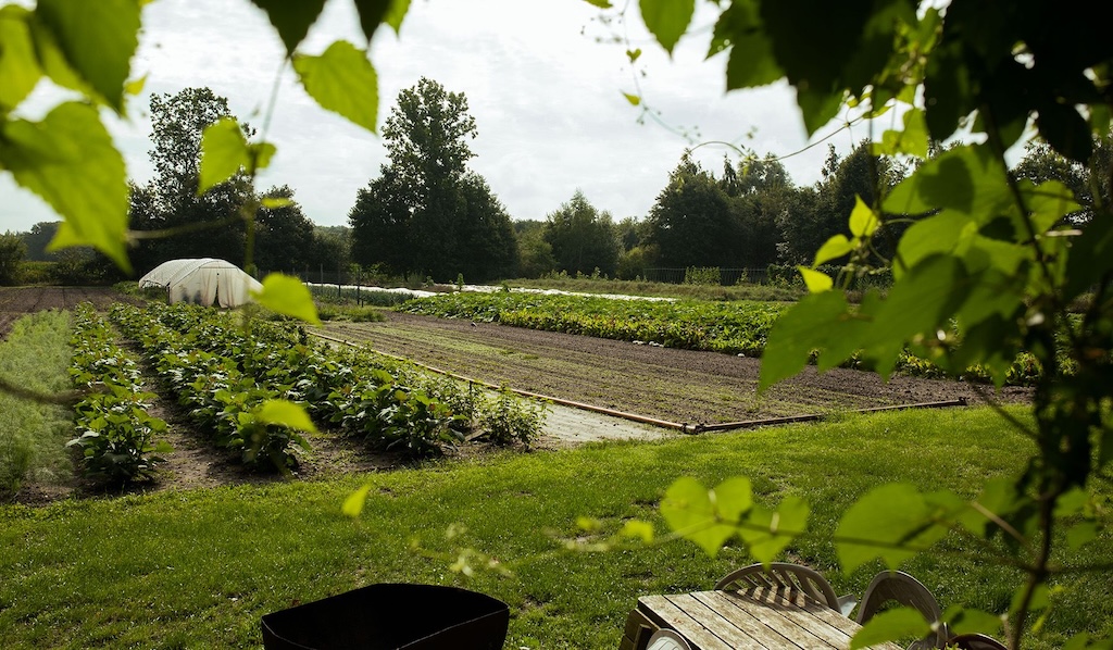 Sophia's Tuin