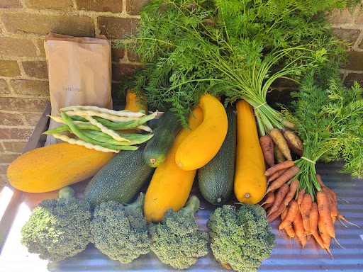 Tuinderij Waalwortel 🥕